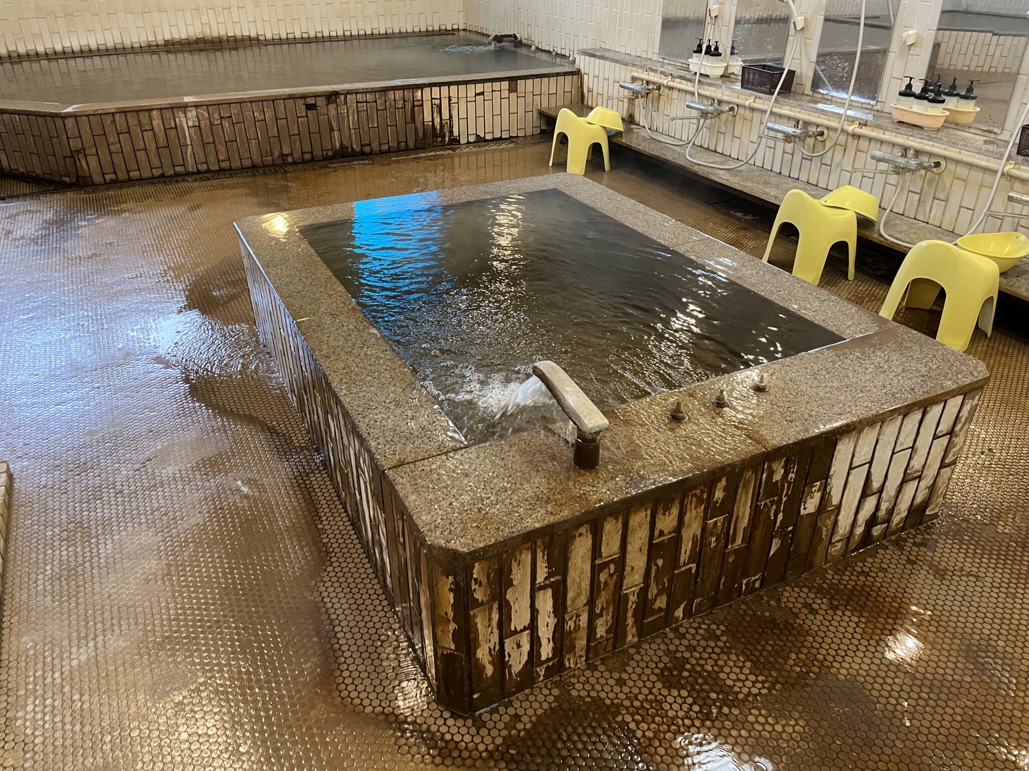 甲府 ホテル昭和の温泉