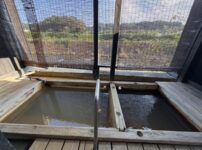 おこもりステイ