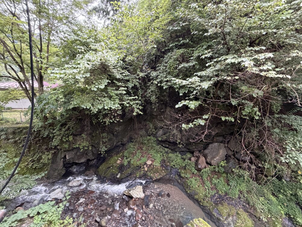 客室から見下ろす渓流と緑